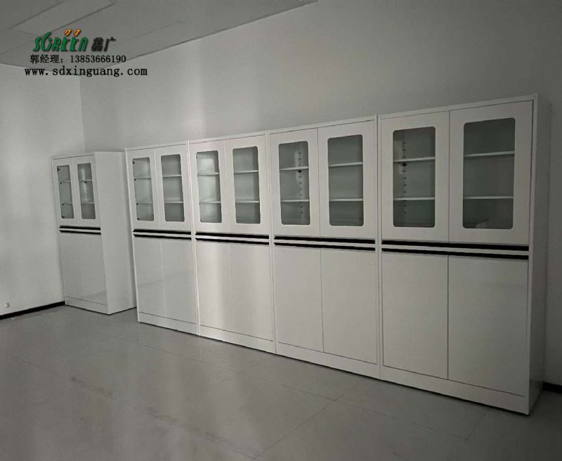 山東試劑柜廠家 實(shí)驗(yàn)室全鋼器皿柜儲(chǔ)物柜 加工定制